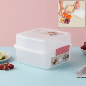 Airtight Multi-Compartment Lunch Box – 1400 ML Plastic Food Container ( default, OS )